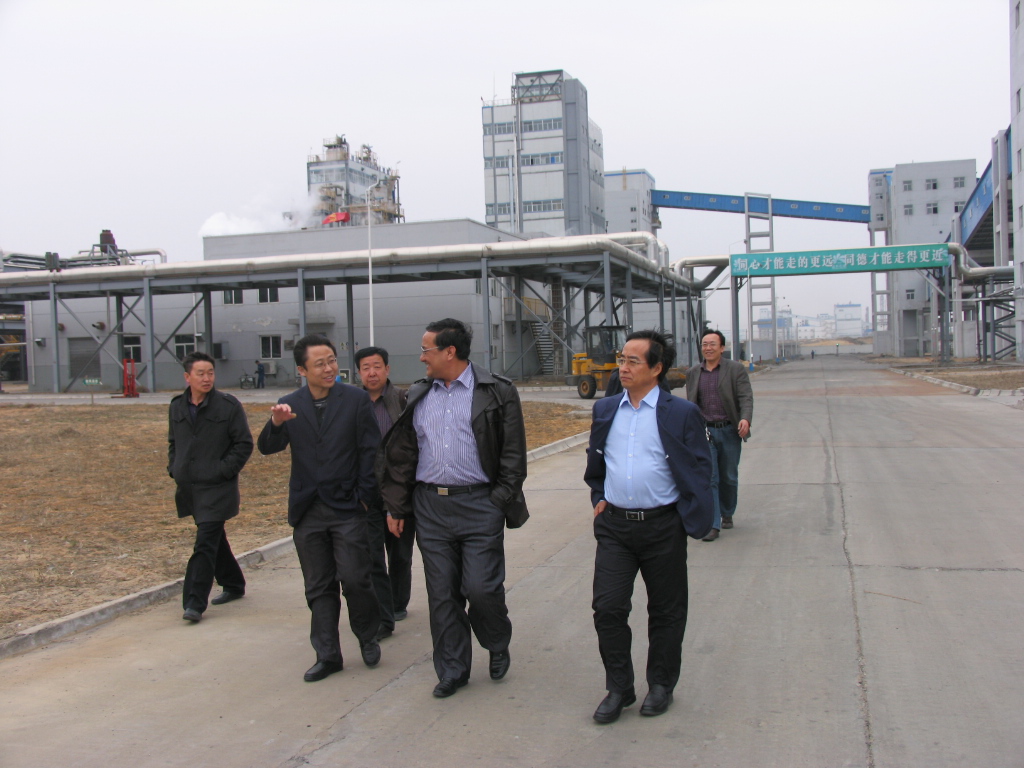 陕西延长石油化建股份有限公司2010年第一季度报告